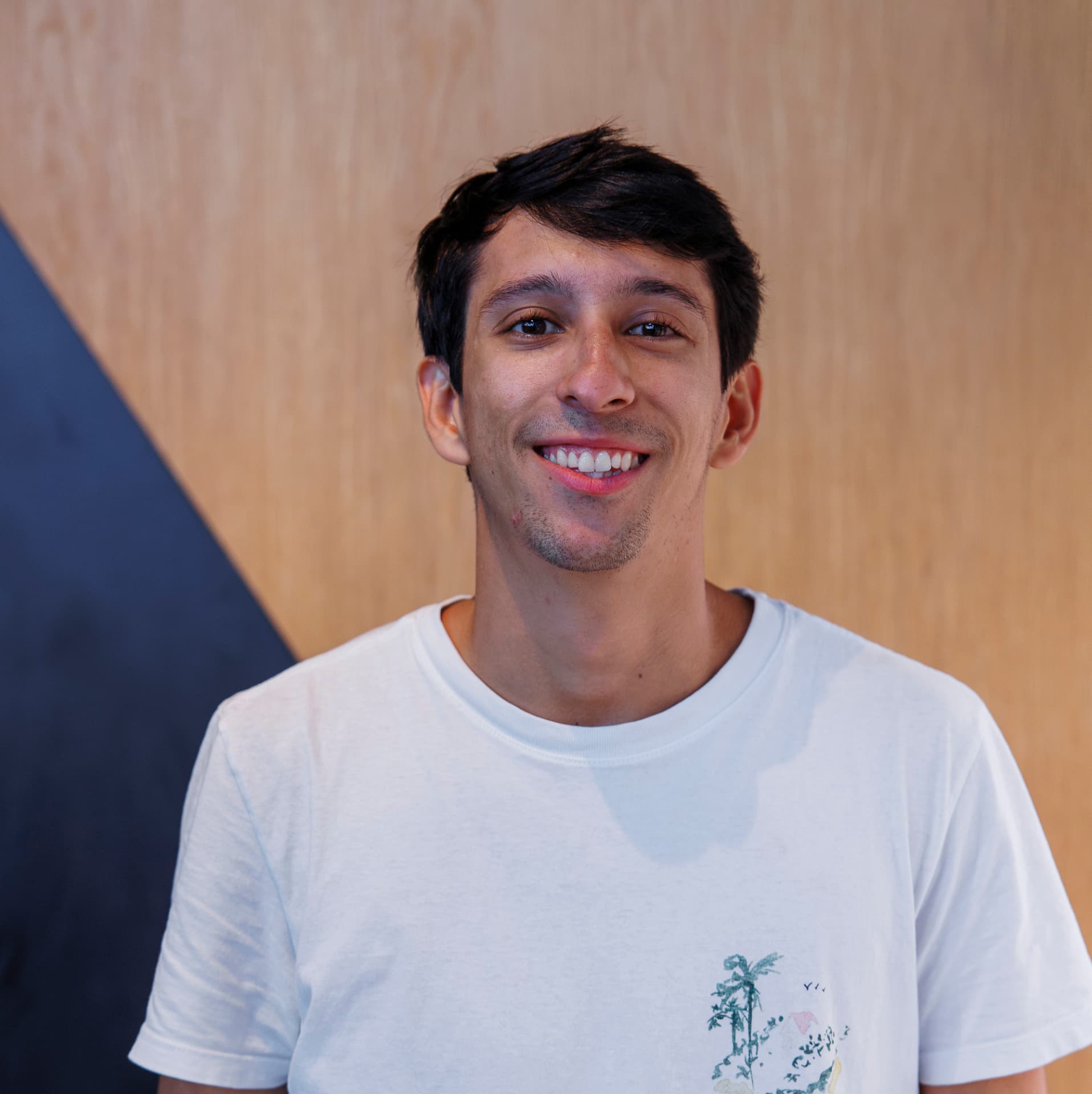 retrato de pedro, 21